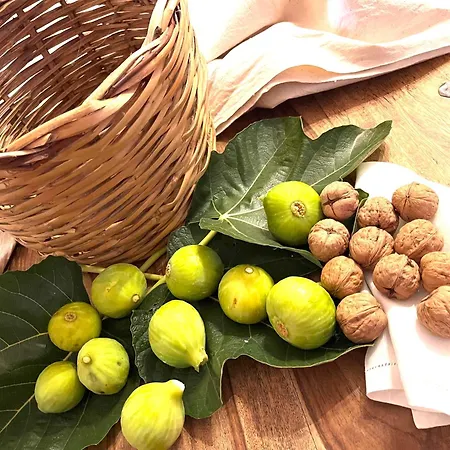 La Favorita Del Re 4* Bicinicco